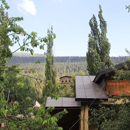 Skier'S House Mestia Zewnętrze zdjęcie